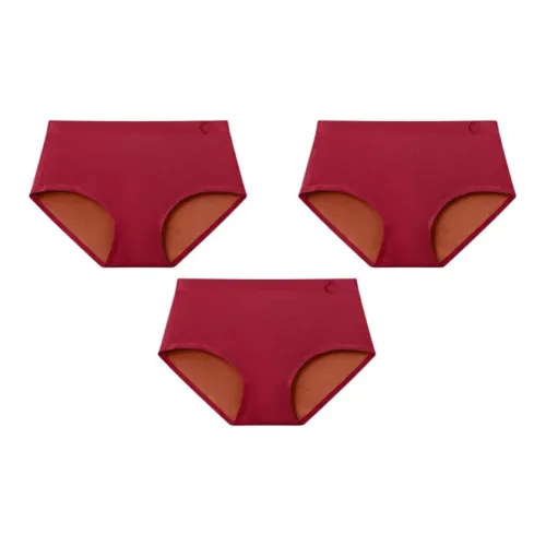 Zhejiang Jin Underpants Women's 3 Pack