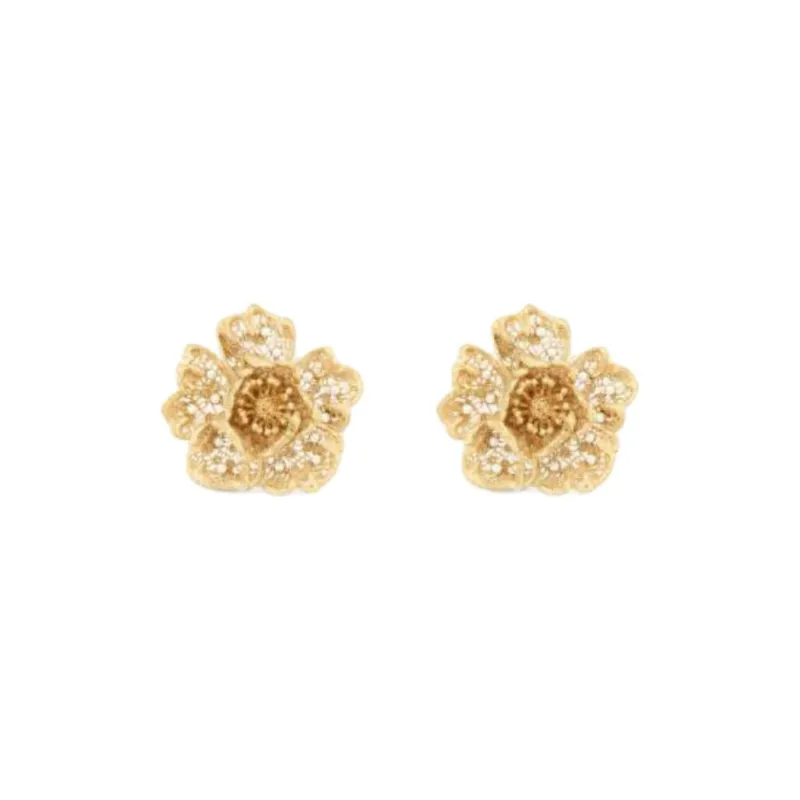DIOR Resin, Metal Earrings Unisex Gold-0