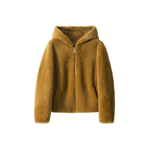 Kele Coco Velvet feel Coat Women's