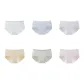 6 Pack Mist White+Sky Blue+Taro Purple+Salt Twist+Grass Green+Frosted Pink