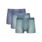 Gray Green+Lake Blue+Blue Gray