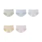 5 Pack Grass Green+Sky Blue+Taro Purple+Salt Twist Yellow+Frosted Pink