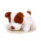Three Postures White Puppy[with Natural Scent]