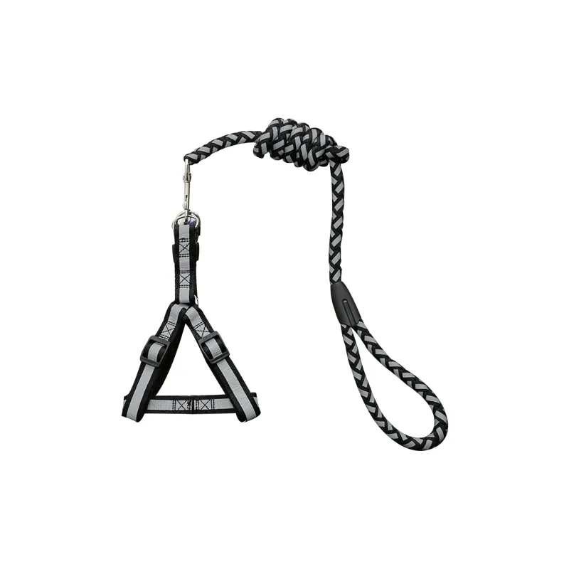 Kimpets Leashes-4