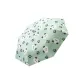 Panda (Sage Green)-Transparent Display Box