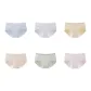 6 Pack Sky Blue+Taro Purple+Salted Yellow+Creamy Skin+Grass Green+Frosted Pink