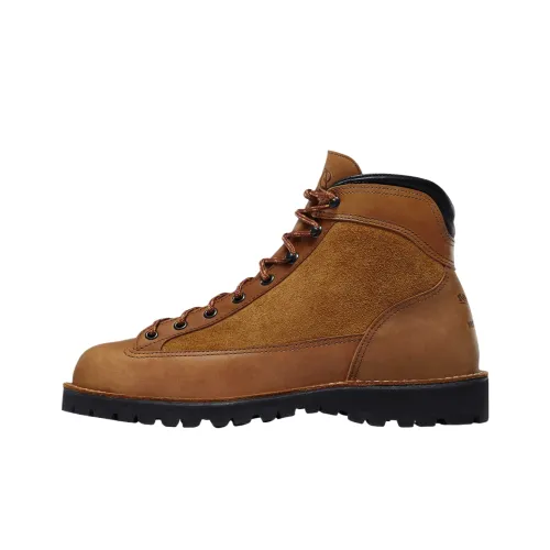 Danner Ridge Outdoor Boots Men's Brown