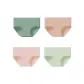 4 Pack Jasper+Shrimp Pink+Pink+Jasper