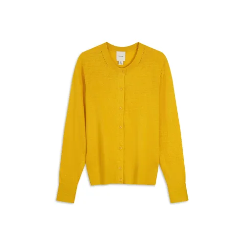 Calvin Klein Knitwear Women's