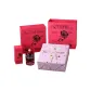 The Last Rose (Pink Cartoon Packaging)