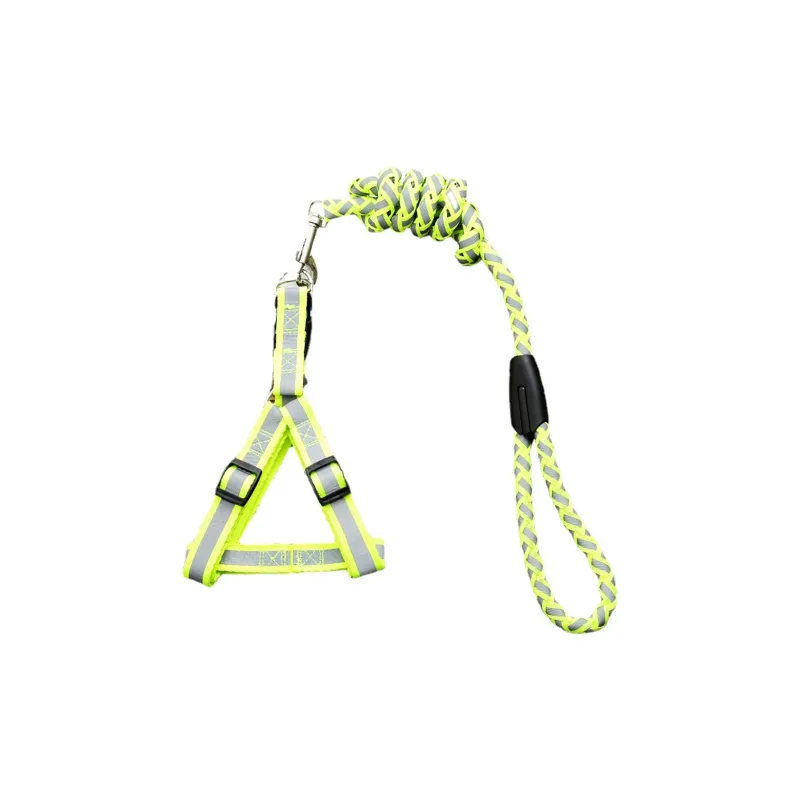 Kimpets Leashes-3