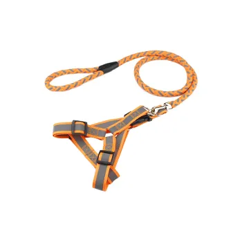 Kimpets Leashes