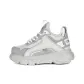 Gray Silver
