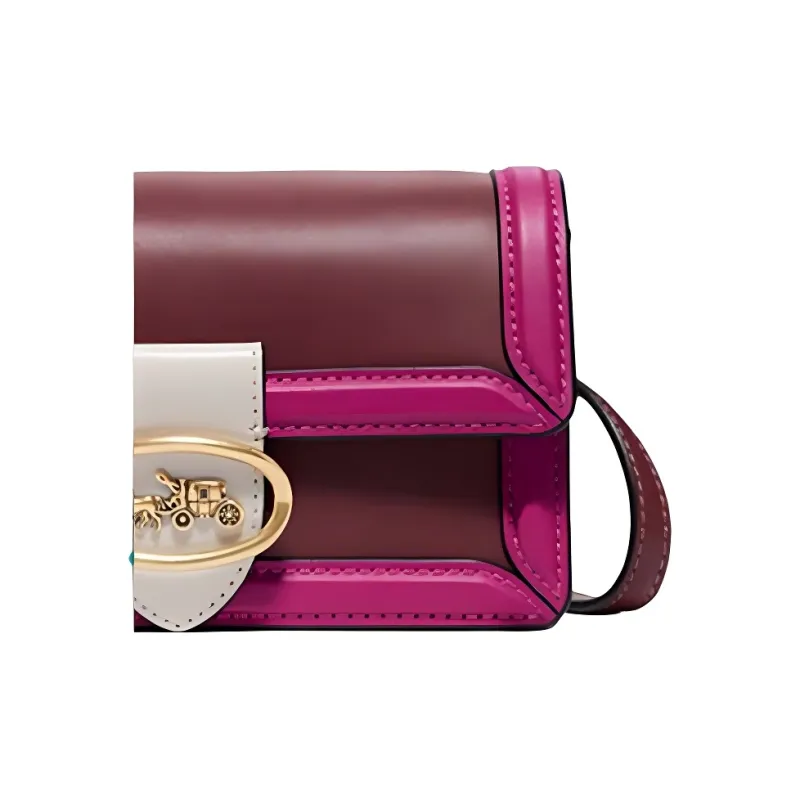 COACH Riley Crossbody Bags-2