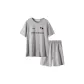 Antarctic Gray