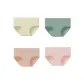4 Pack Yellow+Jasper+Shrimp Pink+Pink