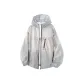 Silver Snow Gray