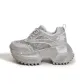 Silver Gray