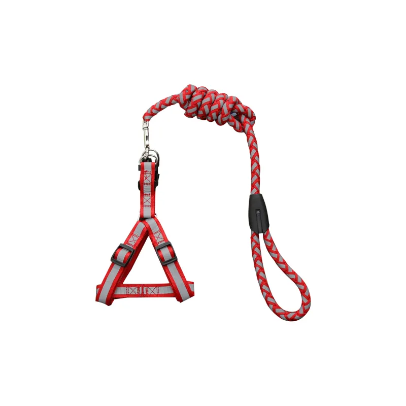 Kimpets Leashes-2