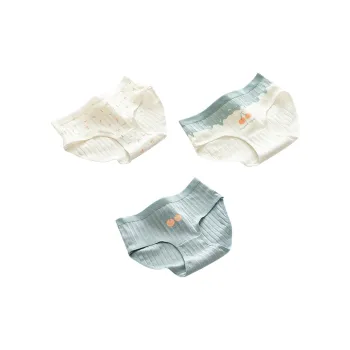 2323 Women's Underpants