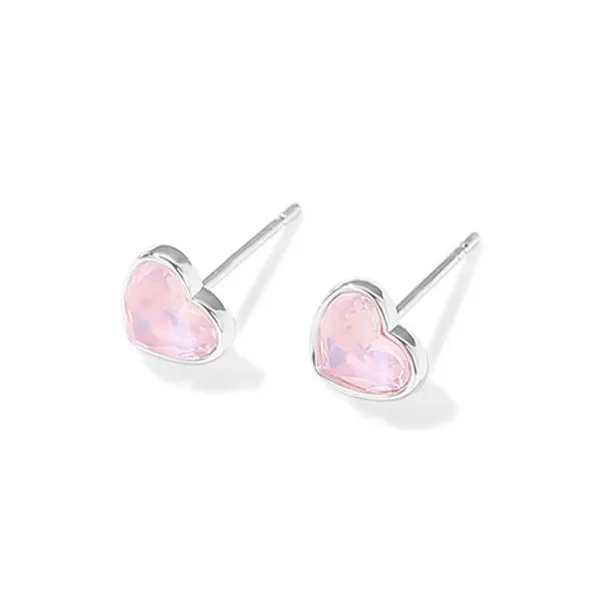 DODOGOGO Alloy S925 Sterling Silver Stud Earrings Women's-0