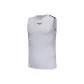 Ice Gray