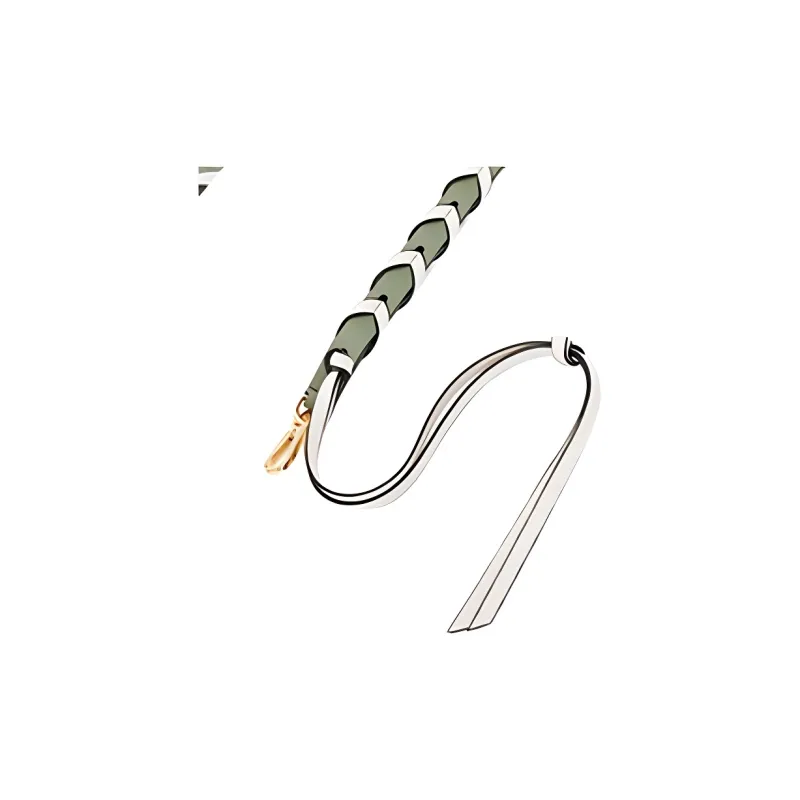 LOEWE Classic Cow Leather Bag Straps Women's Light Avocado/White-4