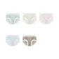5 Pack (Green+White+Brown+Blue+Pink)
