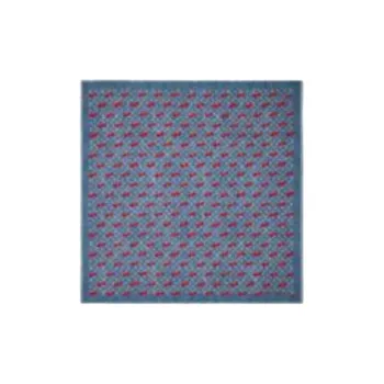 LOUIS VUITTON Shawls Unisex Blue