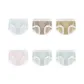 6-Pack Blue+Brown+Yellow+Pink+Green+Green