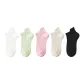 5 Pack (5 Mixed Colors)