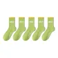 5-Pack Green