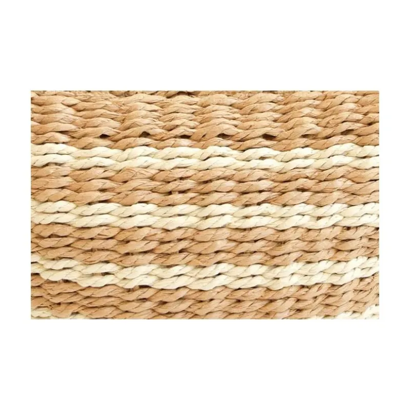 CHUMS Paper Tote Bag, Shopping Bag, Handbag Unisex Light Umber Stripes-4