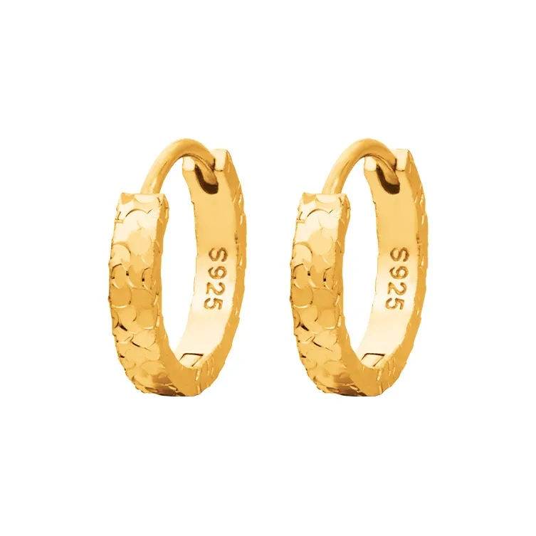 Shunqin Silver Building S925 Silver Earrings Women's-4