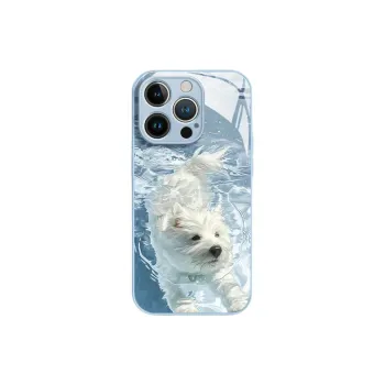 HASEE Phone Cases