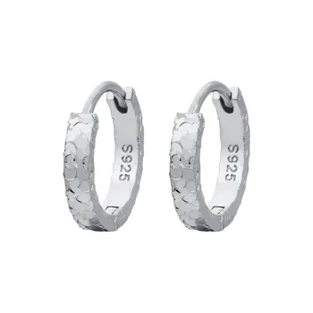 Shunqin Silver Building S925 Silver Earrings Women's