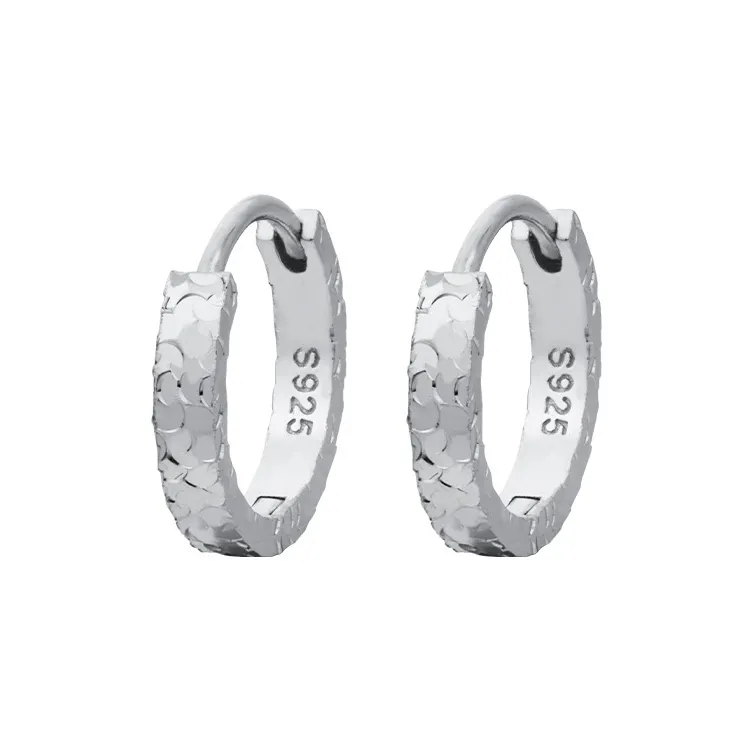 Shunqin Silver Building S925 Silver Earrings Women's-0