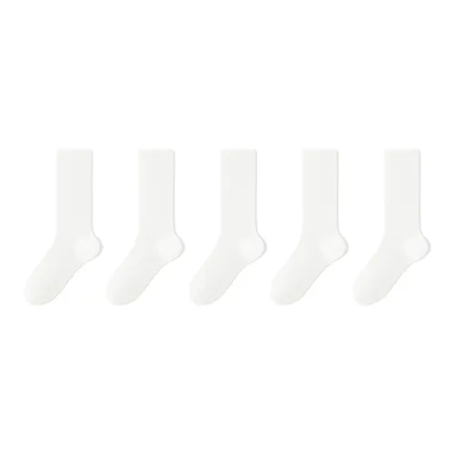 B&C.Room Knee High Socks Women's 5 Pack