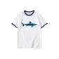 White with Navy Blue Edge