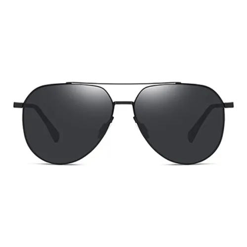 AAJF Stainless Steel Aviator Sunglasses Unisex