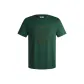 Morandi Green