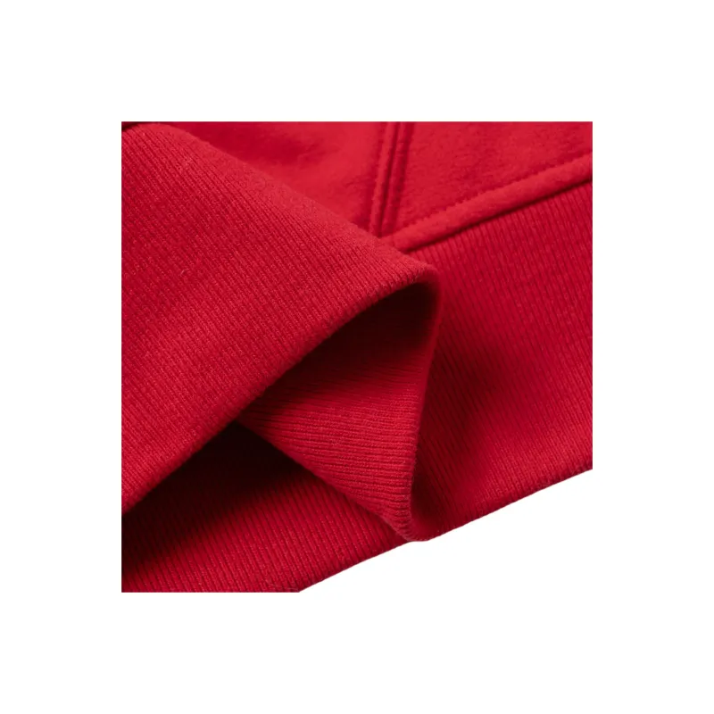 Polo Ralph Lauren FW23 Sweatshirt Women's Red-2