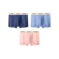 3 Pack[Cerulean+Glacier Blue+Coral Pink]