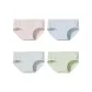 4 Pack (Pink+Light Blue+Light Gray+Pea Green)