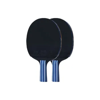 DOUBLE FISH Ping Pong Paddles