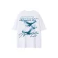 White/Blue