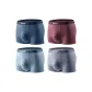 Red Coffee+Gray Blue+Light Gray Blue+Eyeshadow Gray (Box 4 Pack)