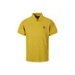 Ginger Yellow