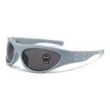 Gray Frame with Black Gray Lens