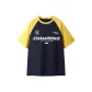 Navy Blue & Yellow